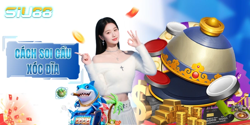 Cách Soi Cầu Xóc Đĩa - Tổng Hợp Tư Duy Đọc Vị Săn Tiền Tỷ