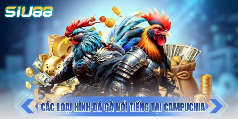 Đá Gà Campuchia - “Cái Nôi” Của Giới Chọi Kê Đông Nam Á Khám phá những loại hình đá gà nổi tiếng tại Campuchia