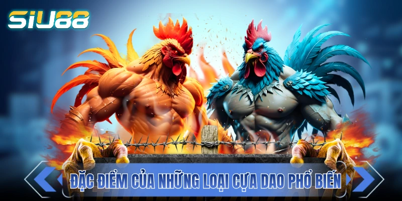 Đặc điểm của những loại cựa dao phổ biến