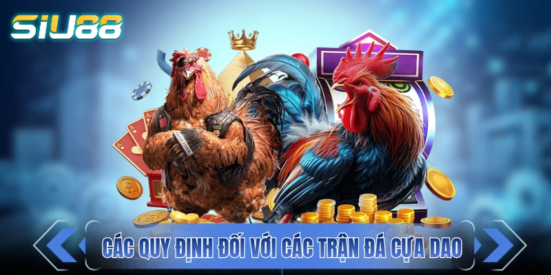Các quy định chặt chẽ đối với các trận đá cựa dao
