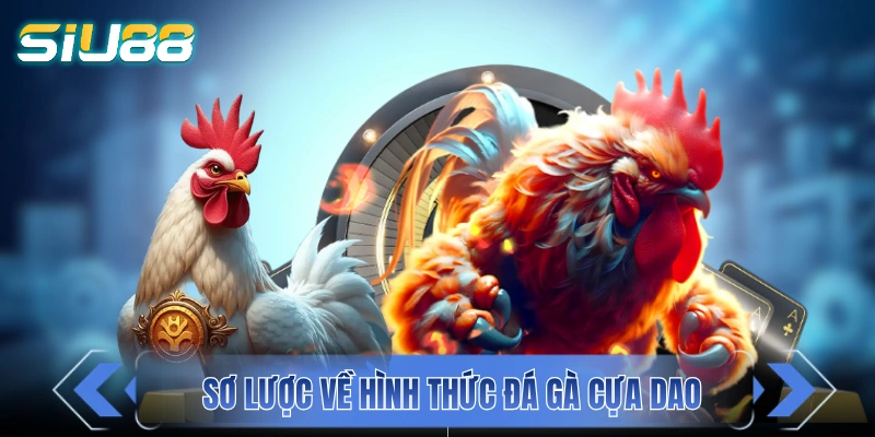 Giới thiệu tổng quát về bộ môn đá gà cựa dao