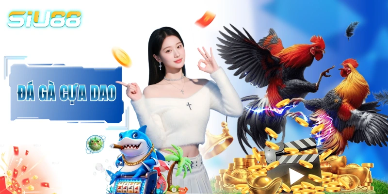 Đá Gà Cựa Dao - Những Cú Đá Đoạt Mạng Trong 1 Nốt Nhạc