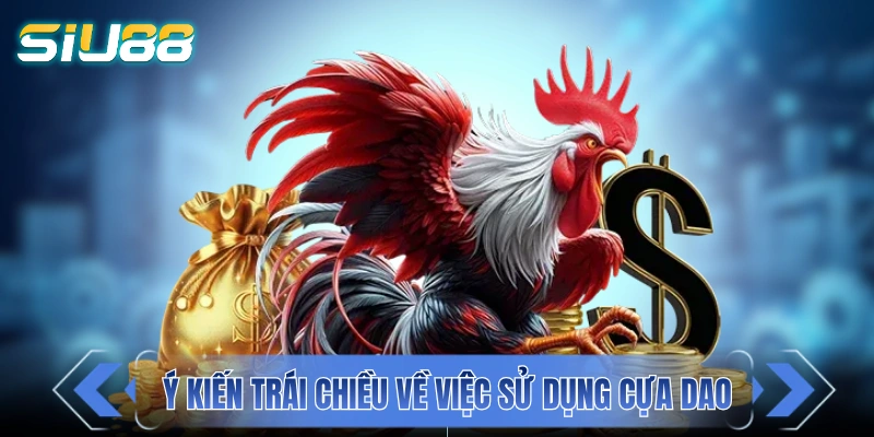 Những ý kiến trái chiều về việc sử dụng cựa dao