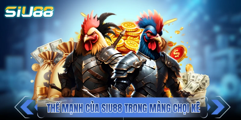 Đá Gà SIU88 - Cuồng Nhiệt Cùng Chiến Kê Mãn Nhãn Từng Giây Những thế mạnh của SIU88 trong mảng chọi kê