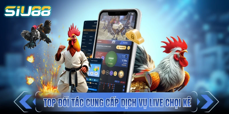 Đá Gà SIU88 - Cuồng Nhiệt Cùng Chiến Kê Mãn Nhãn Từng Giây Những đối tác cung cấp dịch vụ live chọi kê hàng đầu