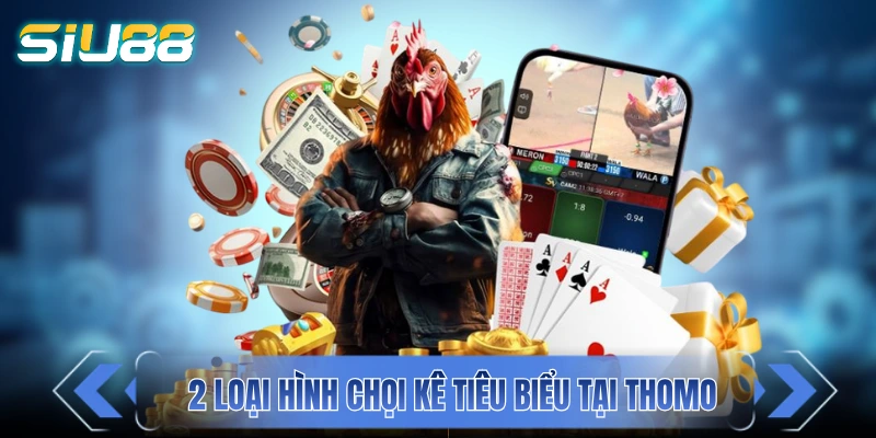 Khám phá 2 loại hình chọi kê tiêu biểu tại Thomo