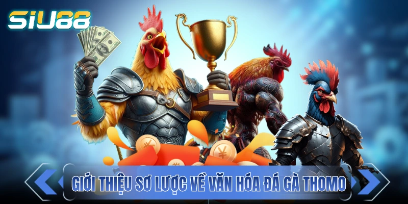 Giới thiệu sơ lược về văn hóa đá gà Thomo
