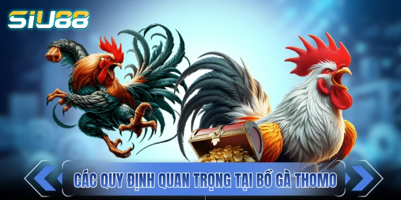 Các quy định quan trọng tại bồ gà Thomo