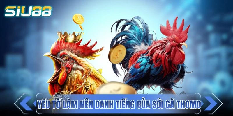 Những yếu tố làm nên danh tiếng của sới gà Thomo