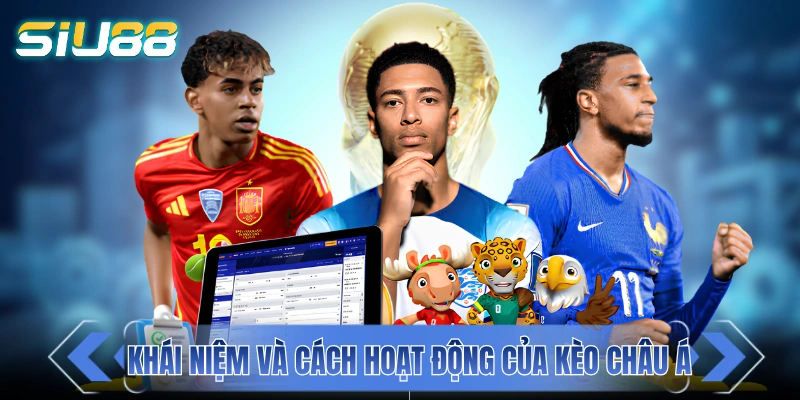 Cơ chế hoạt động cơ bản của dạng kèo châu Á