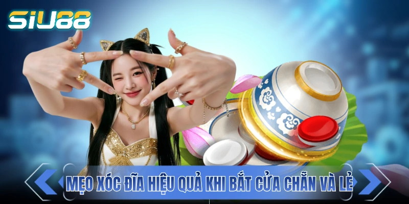 Mẹo Xóc Đĩa Hiệu Quả Giúp Chặn Đứng Nguy Cơ Trắng Tay Mẹo xóc đĩa hiệu quả khi bắt cửa Chẵn và Lẻ