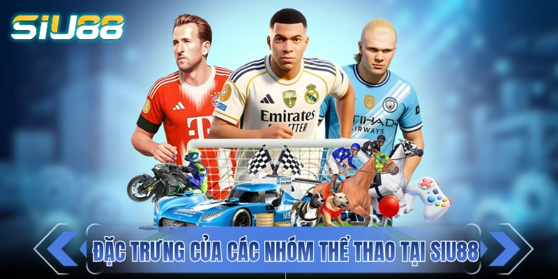 Thể Thao SIU88 - Kèo Cược Đa Dạng Ưu Đãi Hấp Dẫn Đặc trưng của các nhóm thể thao tại nhà cái